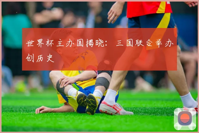 世界杯主办国揭晓：三国联合举办创历史