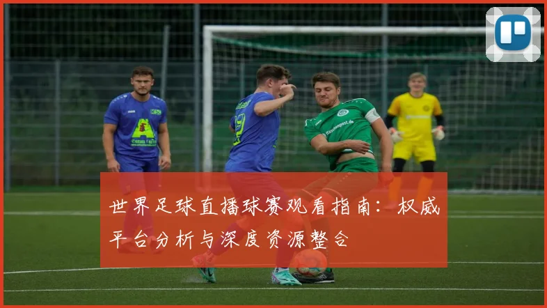 世界足球直播球赛观看指南：权威平台分析与深度资源整合